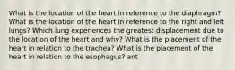 What is the location of the heart in reference to the diaphragm? What is the location of the heart in reference to the right and left lungs? Which lung experiences the greatest displacement due to the location of the heart and why? What is the placement of the heart in relation to the trachea? What is the placement of the heart in relation to the esophagus? ant