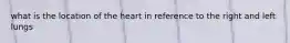 what is the location of the heart in reference to the right and left lungs