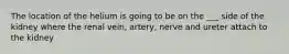 The location of the helium is going to be on the ___ side of the kidney where the renal vein, artery, nerve and ureter attach to the kidney