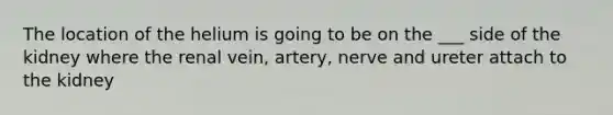 The location of the helium is going to be on the ___ side of the kidney where the renal vein, artery, nerve and ureter attach to the kidney