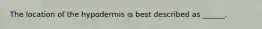 The location of the hypodermis is best described as ______.