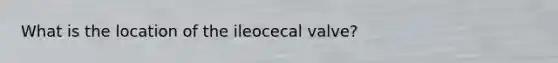 What is the location of the ileocecal valve?