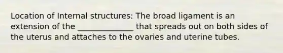 Location of Internal structures: The broad ligament is an extension of the ______________ that spreads out on both sides of the uterus and attaches to the ovaries and uterine tubes.