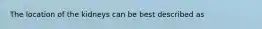 The location of the kidneys can be best described as