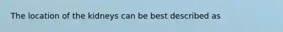 The location of the kidneys can be best described as