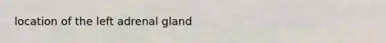 location of the left adrenal gland