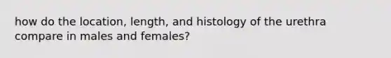 how do the location, length, and histology of the urethra compare in males and females?