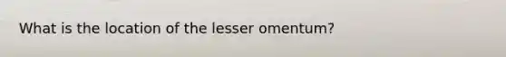 What is the location of the lesser omentum?