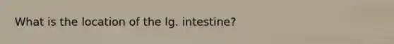 What is the location of the lg. intestine?