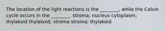 The location of the light reactions is the ________, while the Calvin cycle occurs in the ________. stroma; nucleus cytoplasm; thylakoid thylakoid; stroma stroma; thylakoid