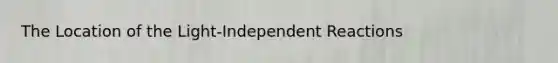 The Location of the Light-Independent Reactions