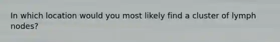 In which location would you most likely find a cluster of lymph nodes?