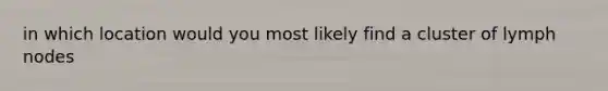 in which location would you most likely find a cluster of lymph nodes