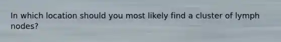 In which location should you most likely find a cluster of lymph nodes?