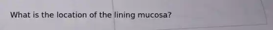 What is the location of the lining mucosa?