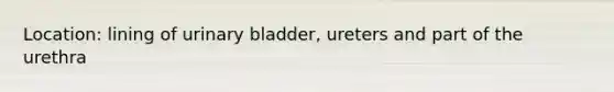 Location: lining of urinary bladder, ureters and part of the urethra