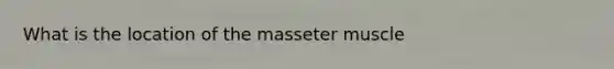 What is the location of the masseter muscle