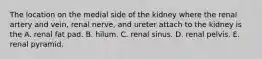 The location on the medial side of the kidney where the renal artery and vein, renal nerve, and ureter attach to the kidney is the A. renal fat pad. B. hilum. C. renal sinus. D. renal pelvis. E. renal pyramid.