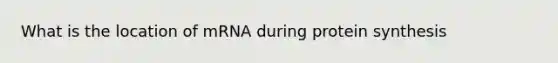What is the location of mRNA during <a href='https://www.questionai.com/knowledge/kVyphSdCnD-protein-synthesis' class='anchor-knowledge'>protein synthesis</a>