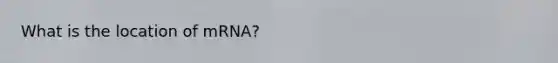 What is the location of mRNA?