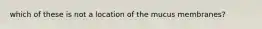 which of these is not a location of the mucus membranes?