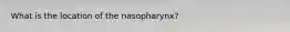 What is the location of the nasopharynx?