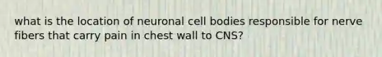 what is the location of neuronal cell bodies responsible for nerve fibers that carry pain in chest wall to CNS?