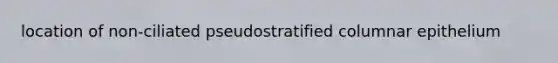 location of non-ciliated pseudostratified columnar epithelium