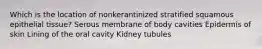 Which is the location of nonkerantinized stratified squamous epithelial tissue? Serous membrane of body cavities Epidermis of skin Lining of the oral cavity Kidney tubules