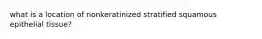 what is a location of nonkeratinized stratified squamous epithelial tissue?