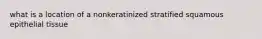 what is a location of a nonkeratinized stratified squamous epithelial tissue