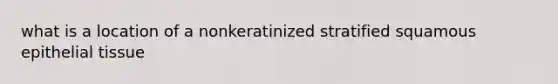 what is a location of a nonkeratinized stratified squamous epithelial tissue