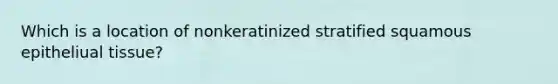 Which is a location of nonkeratinized stratified squamous epitheliual tissue?