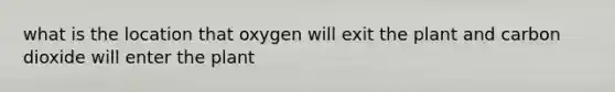 what is the location that oxygen will exit the plant and carbon dioxide will enter the plant