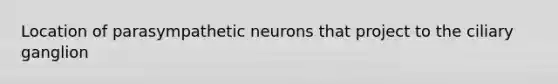 Location of parasympathetic neurons that project to the ciliary ganglion