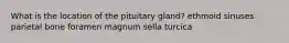 What is the location of the pituitary gland? ethmoid sinuses parietal bone foramen magnum sella turcica