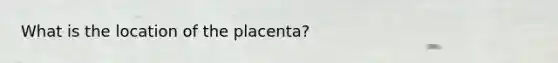 What is the location of the placenta?