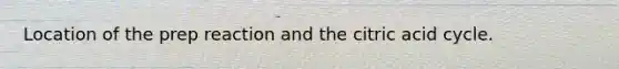 Location of the prep reaction and the citric acid cycle.