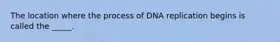 The location where the process of DNA replication begins is called the _____.