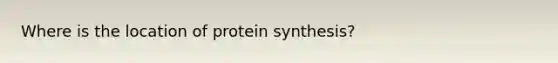 Where is the location of protein synthesis?