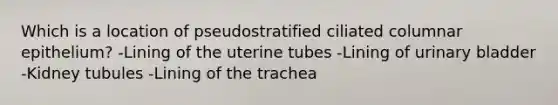 Which is a location of pseudostratified ciliated columnar epithelium? -Lining of the uterine tubes -Lining of <a href='https://www.questionai.com/knowledge/kb9SdfFdD9-urinary-bladder' class='anchor-knowledge'>urinary bladder</a> -Kidney tubules -Lining of the trachea