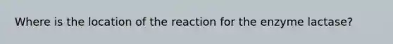 Where is the location of the reaction for the enzyme lactase?