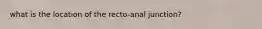 what is the location of the recto-anal junction?