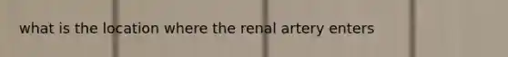 what is the location where the renal artery enters