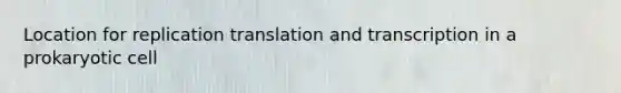 Location for replication translation and transcription in a prokaryotic cell