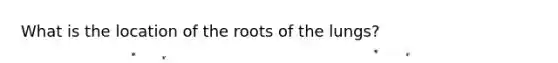 What is the location of the roots of the lungs?