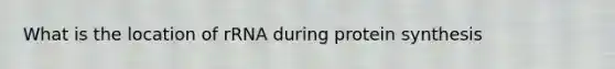 What is the location of rRNA during <a href='https://www.questionai.com/knowledge/kVyphSdCnD-protein-synthesis' class='anchor-knowledge'>protein synthesis</a>