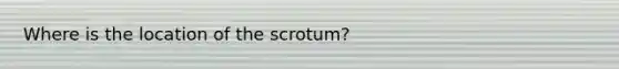 Where is the location of the scrotum?