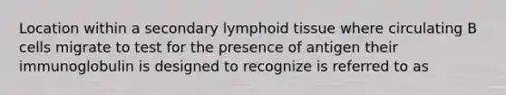 Location within a secondary lymphoid tissue where circulating B cells migrate to test for the presence of antigen their immunoglobulin is designed to recognize is referred to as