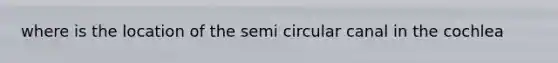 where is the location of the semi circular canal in the cochlea